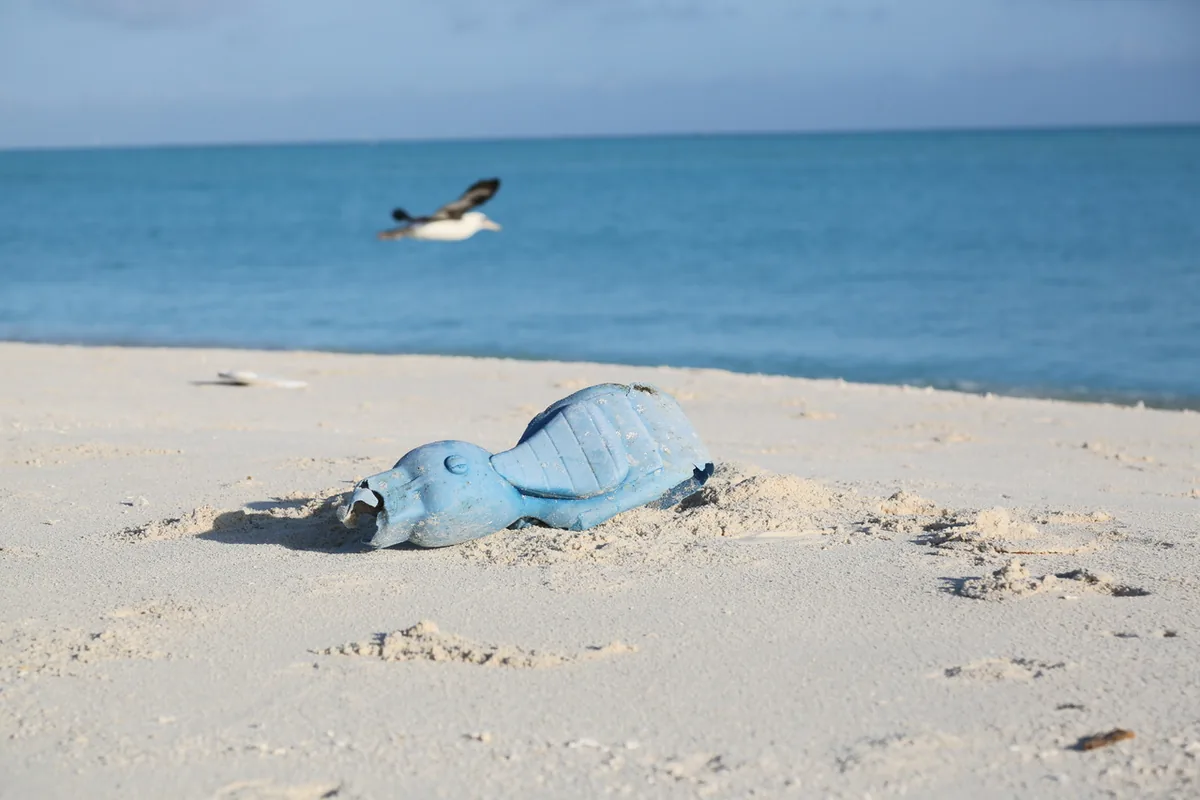 A weathered blue plastic bird-shaped toy on a sandy beach, with the ocean and a seabird behind it.